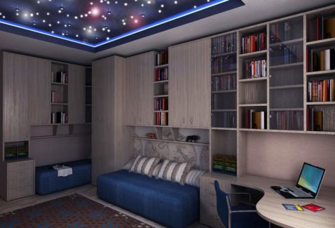комната с книжными полками