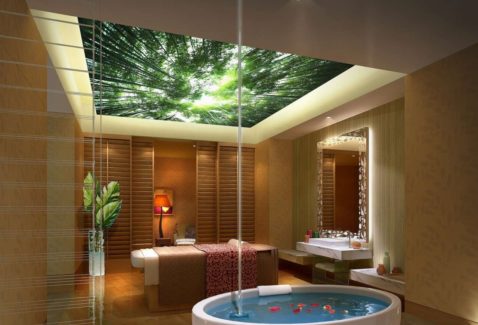 SPA с потолком фотопечатью леса